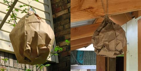 fake wasp nest paper bag|paper wasp nest.